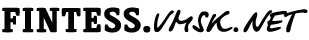 Fintess.vmsk.net